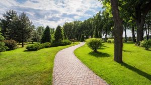 Un parc bien entretenu avec du gazon fraîchement taillé et plusieurs variétés d'arbres